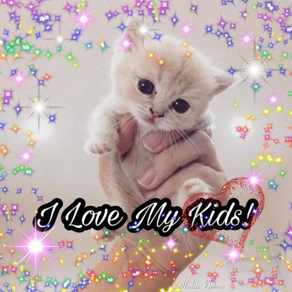 Meet your Posher, Rose - Picture 1 of 1